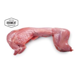 dogmeat-konijn-heel konijn