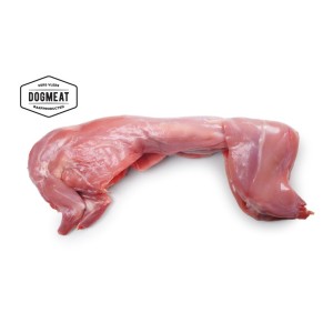 dogmeat-konijn-heel konijn