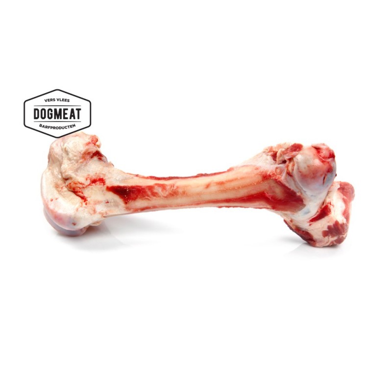 dogmeat-runderbot-xxl