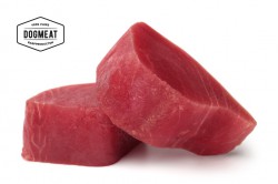 dogmeat-barf-tonijn