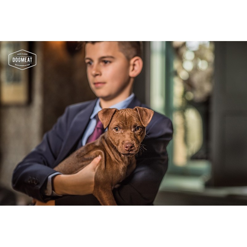 Dogmeat-puppy-1-6 maanden