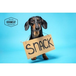 dogmeat-snacks-mini-trainers