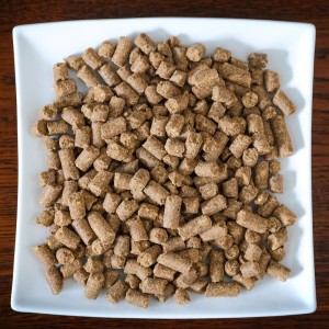dogmeat-Meadowfield-Special-Quality-kip-rijst