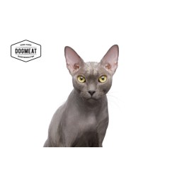 Dogmeat-Meadowfield-Masterclass-Castraat-kip-zalm