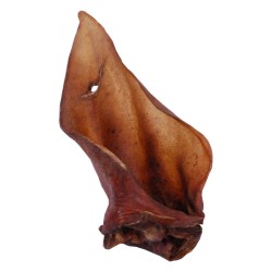 Snack Runder oren met schelp (zonder haar)