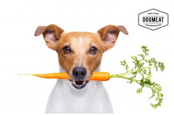 dogmeat-gedroogde-groente