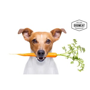 dogmeat-gedroogde-groente