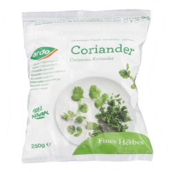 Herbs Coriander