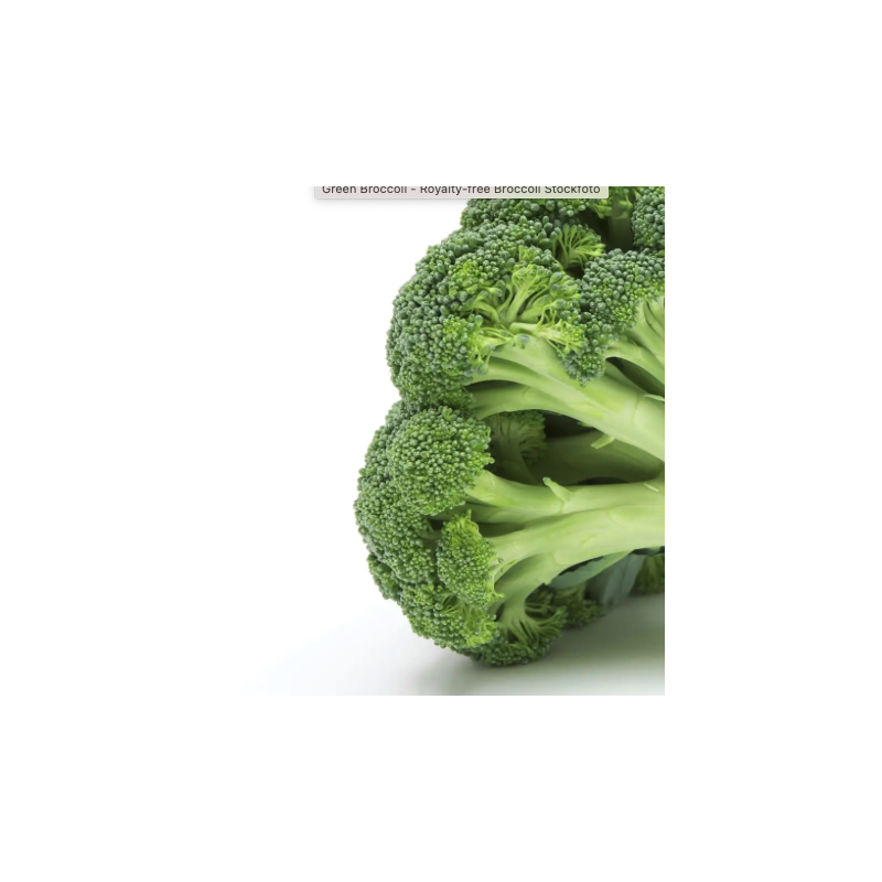 81-459_dogmeat_broccoli