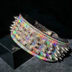The ''Chameleon'' LIMITED collar