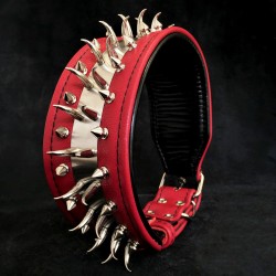 The "Predator" red collar