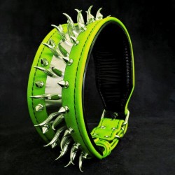 The "Predator" green collar