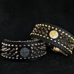 The ''Imperium'' show collar