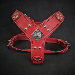 The "Eros" harness RED