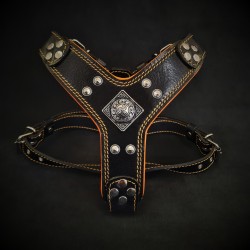The ''Eros'' harness Black & Orange
