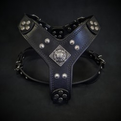 The ''Eros'' harness Black