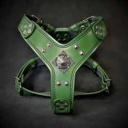 The "Eros" harness GREEN