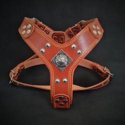 The "Eros" harness Brown