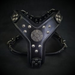 The ''Maximus'' harness black & silver