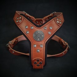 The ''Maximus'' harness Brown & Silver