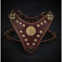 The ''Maximus'' harness brown & gold