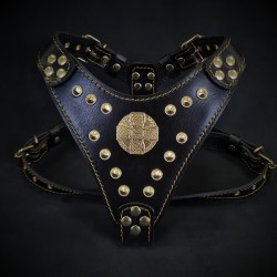 The ''Maximus'' harness black & gold