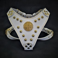 The "Maximus'' harness white & gold