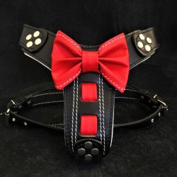 The "Bowtie" harness