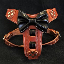 The "Bowtie" harness