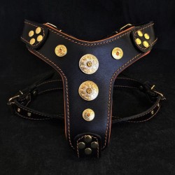 The ''Bijou'' harness Black & Orange