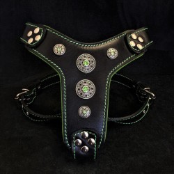 The ''Bijou'' harness Black & Green