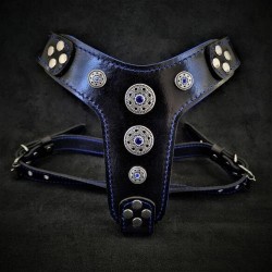 The ''Bijou'' harness Black & Blue