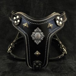 The ''Aztec'' harness Black
