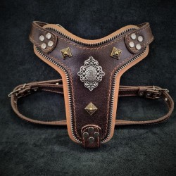 The ''Aztec'' harness Brown