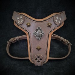 The ''Aztec'' harness Grey