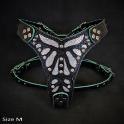 The ''Ariel'' harness