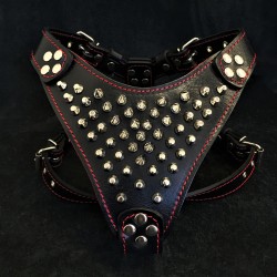 The ''Frenchie'' studded leather harness