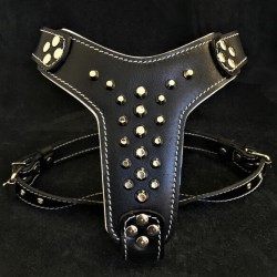 The "Rocky" studded leather harness