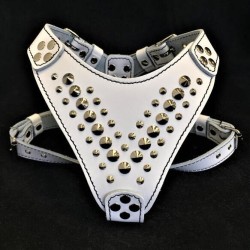 The ''Star'' Harness