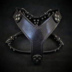 The ''Style'' harness Black