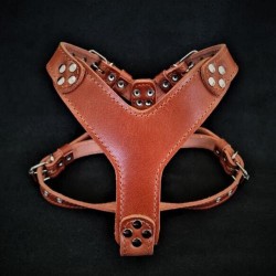The ''Style'' harness Brown