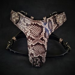 The ''Rock Python'' harness