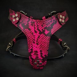 The ''Rock Python'' harness